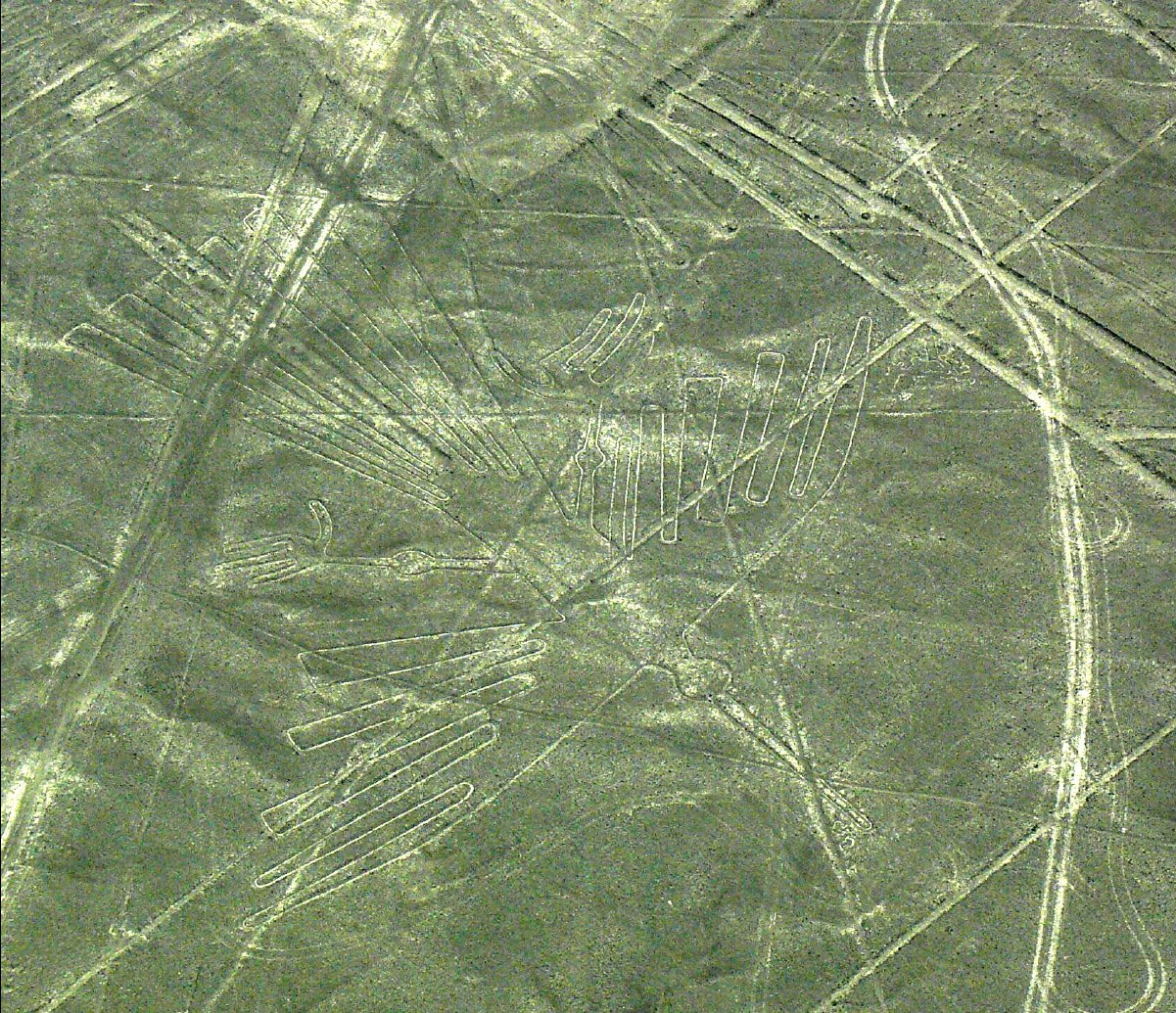 Nasca Lines29 - Condor